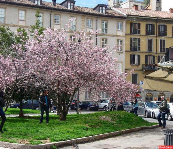 Весна в Италии