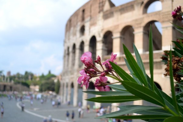 Римини весной