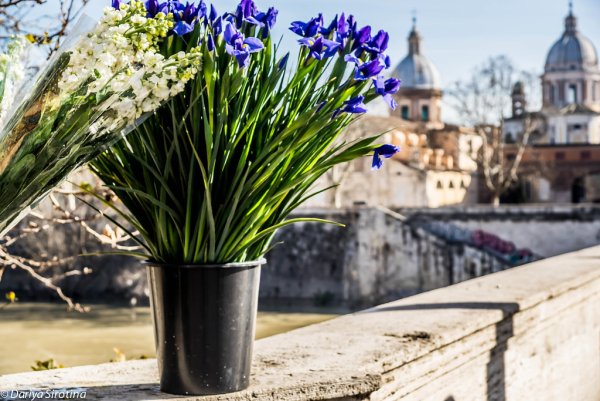 Весна в Европе