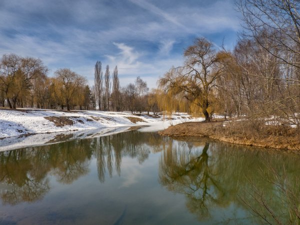 Весна подснежники крокусы