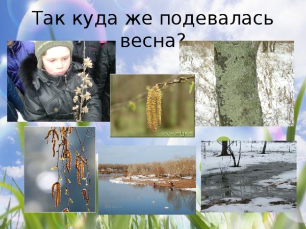 Куда подевалась Весна