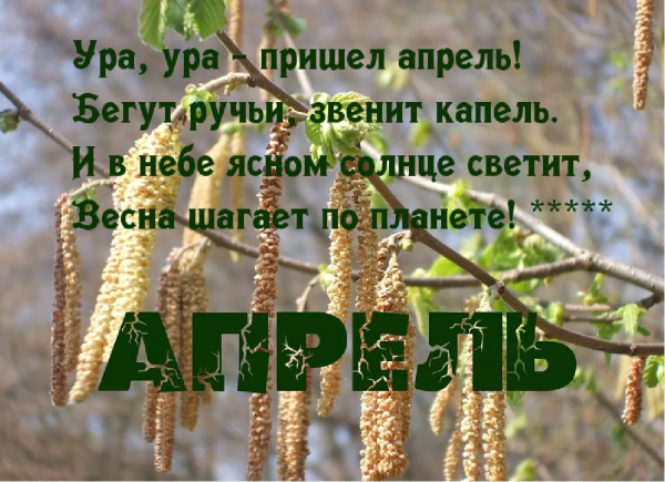 Здравствуй апрель