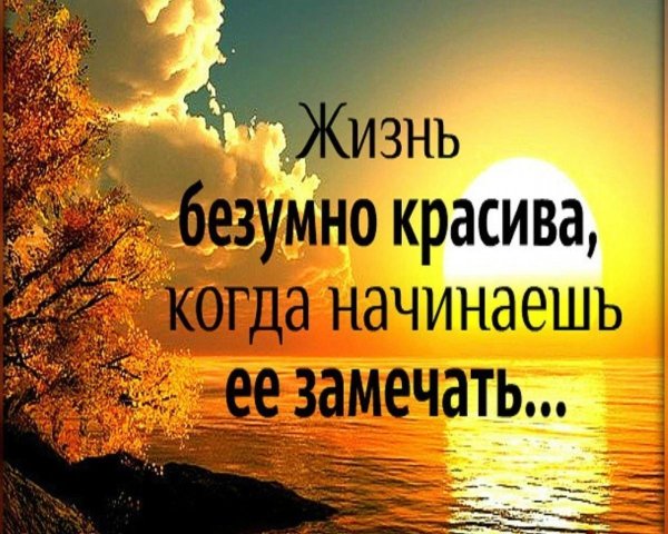 Мудрые мысли на каждый день