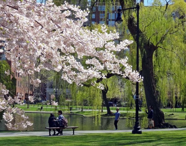 Весенний Бостон