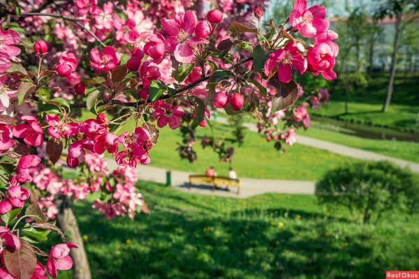 Гродно весной