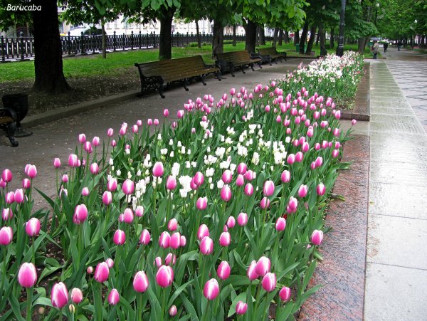 Весна в Беларуси