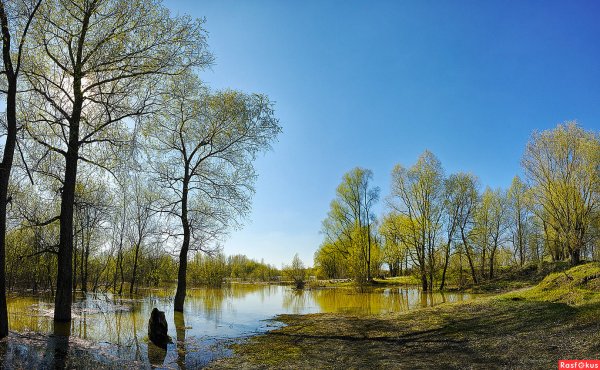 Весенняя природа