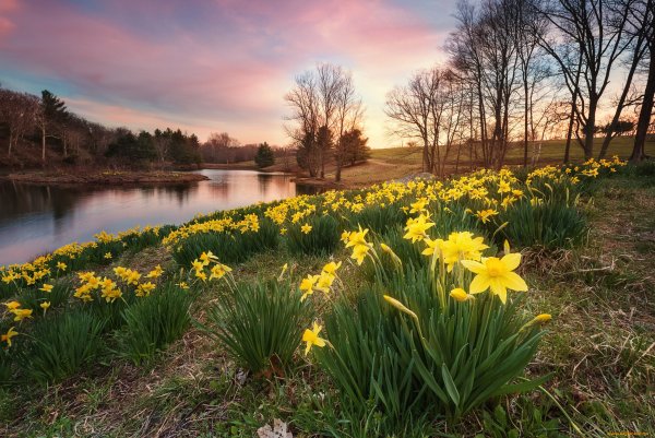 Весенний пейзаж
