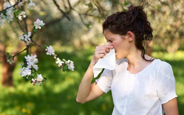 Мемы про весну