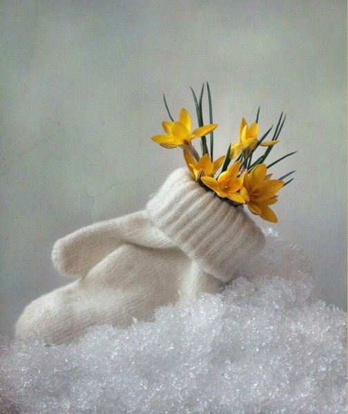 Носовой платок девушка