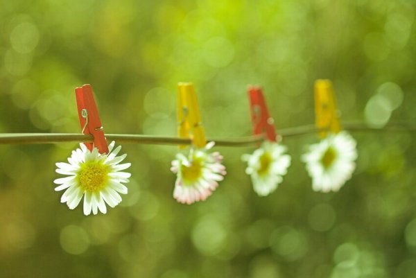 Радости и счастья