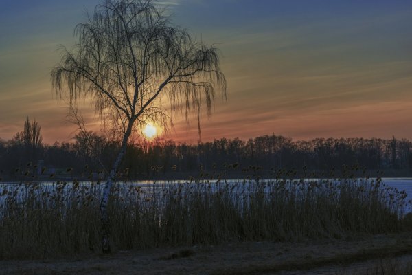 Ранняя Весна вечер