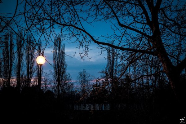 Атмосферный вечер