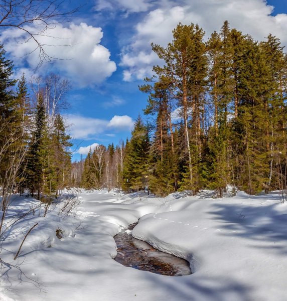 Весенний лес Урала