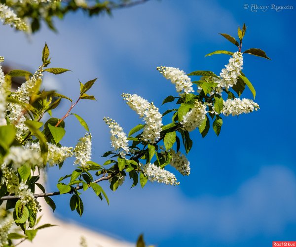 Апрель на Урале