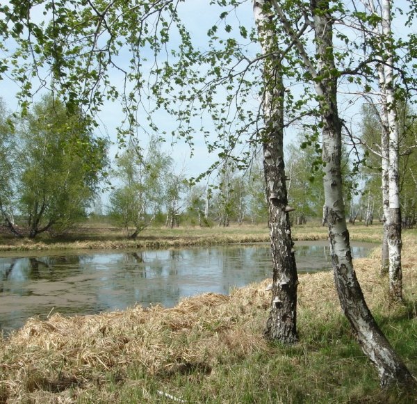 Уральские горы весной