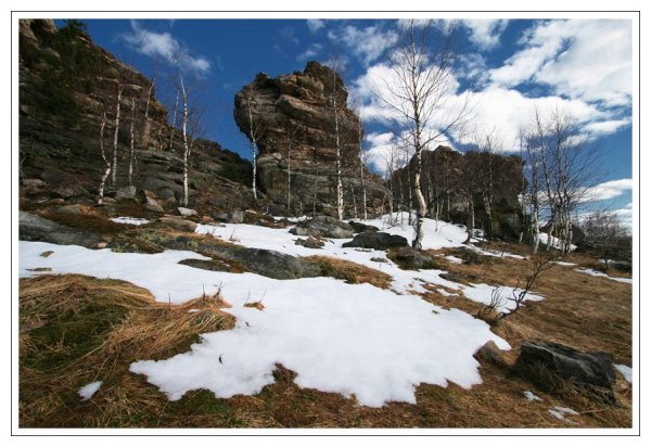 Весна берёзы у реки
