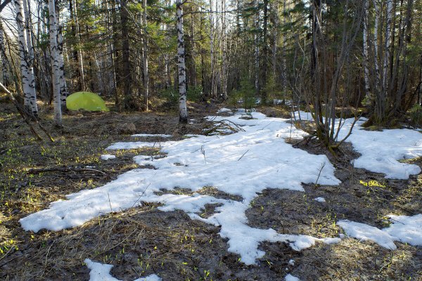 Речка ранней весной