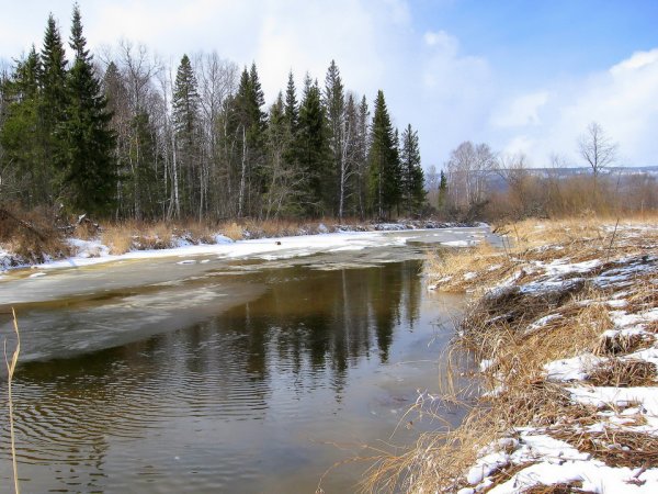 Весенние ручьи