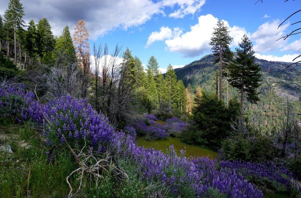 Ранняя Весна Башкирия