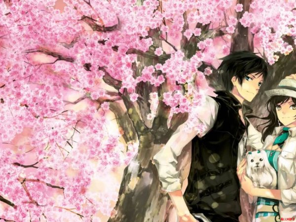 Девушка под сакурой