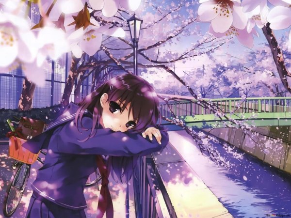 Вечноцветущая Сакура аниме