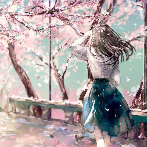 Сакура аниме девушка