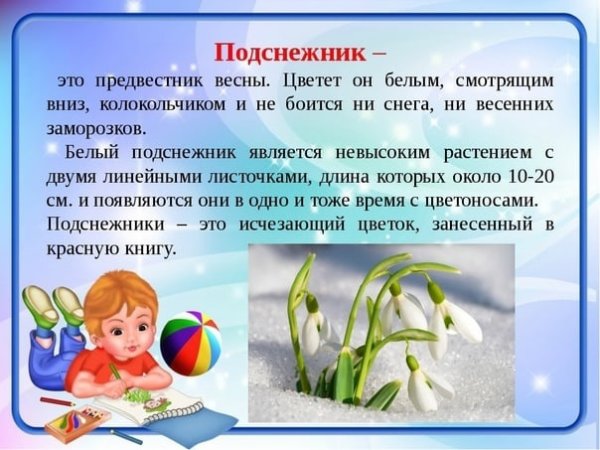 Первоцветы (подснежники, крокусы, гиацинты).