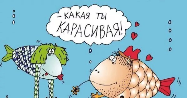 Кристиан Асух (Christian Asuh).