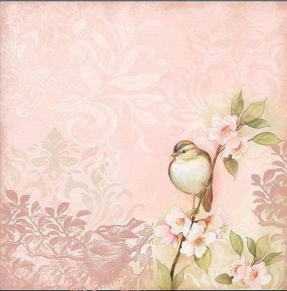 Вырезки для скрапбукинга