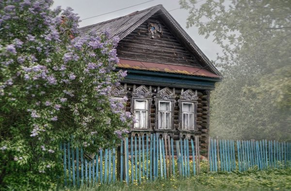 Палисад деревня кусты