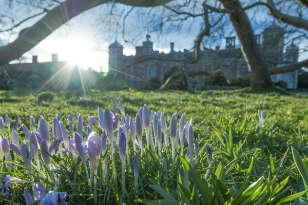 Природа весной