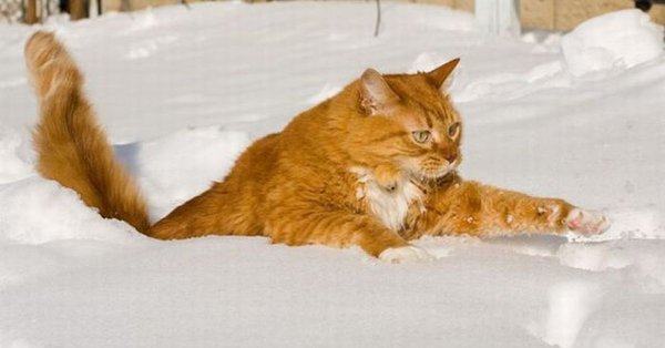 Чуть чуть мешает метр снега