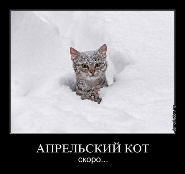 Ешьте снег помогай весне