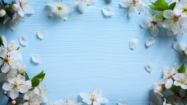 Фотофон для бантиков