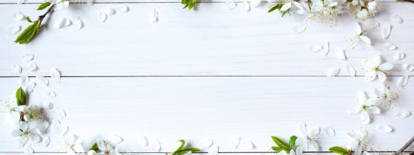 Овощи и специи на деревянном фоне