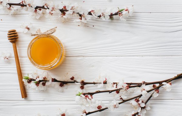 Летний фон для афиши