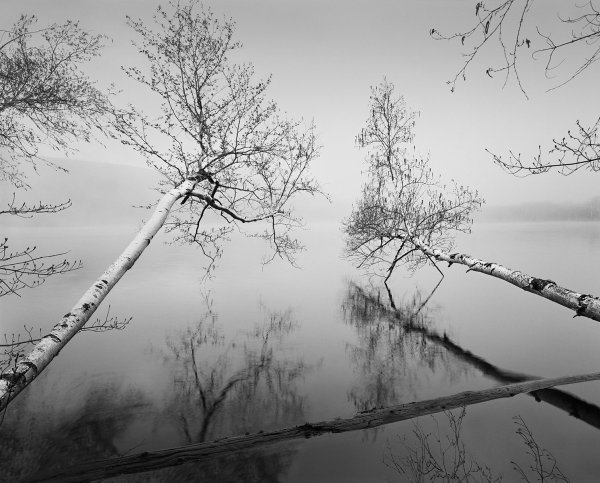 Весна черно белая