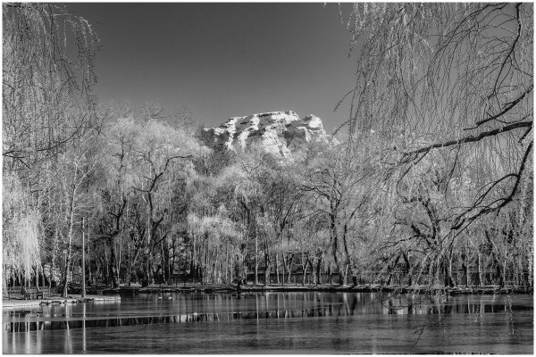 Весна черно белая