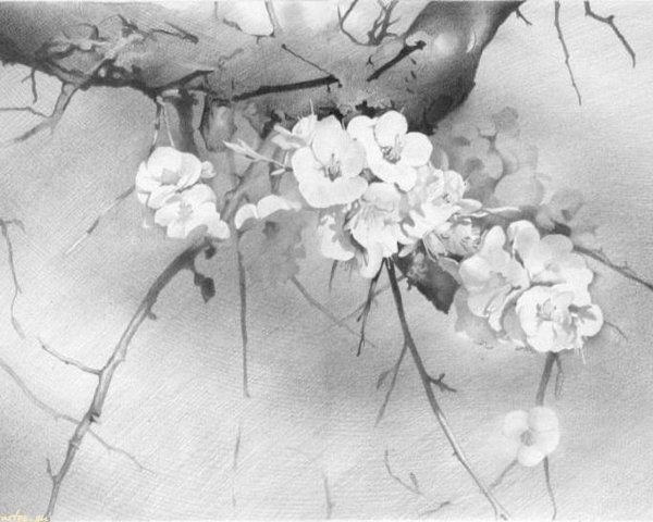 Ранняя Весна