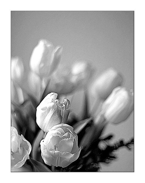 Птица на ветке