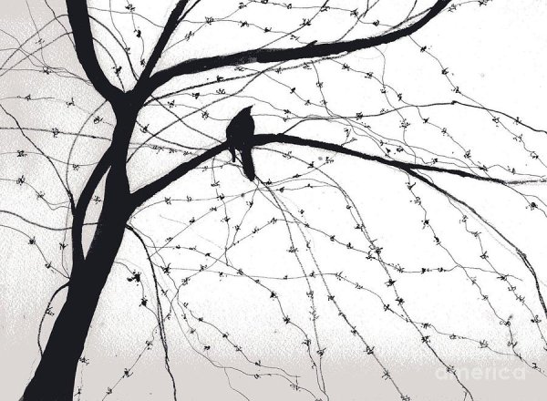 Раскраска природа