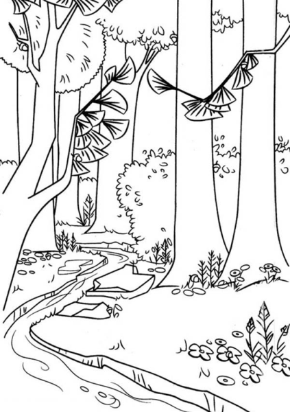 Береза черно белая