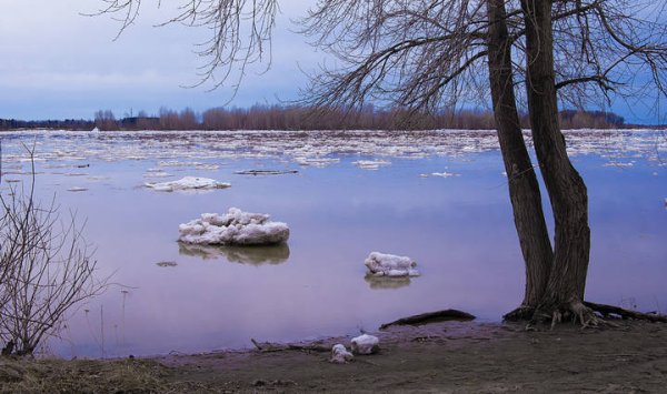 Весенний пейзаж ледоход на реке