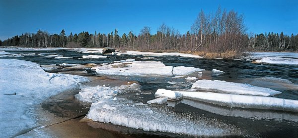 Ледоход на Чудском озере
