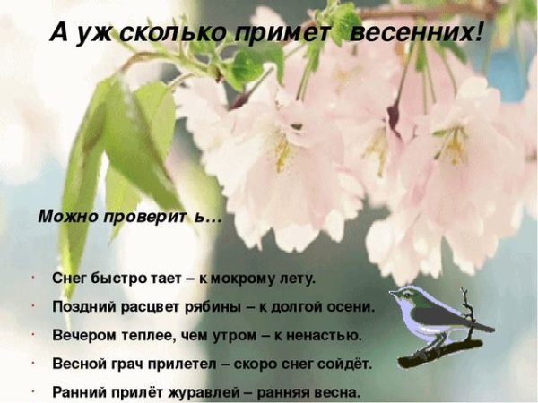 Любую из весенних примет