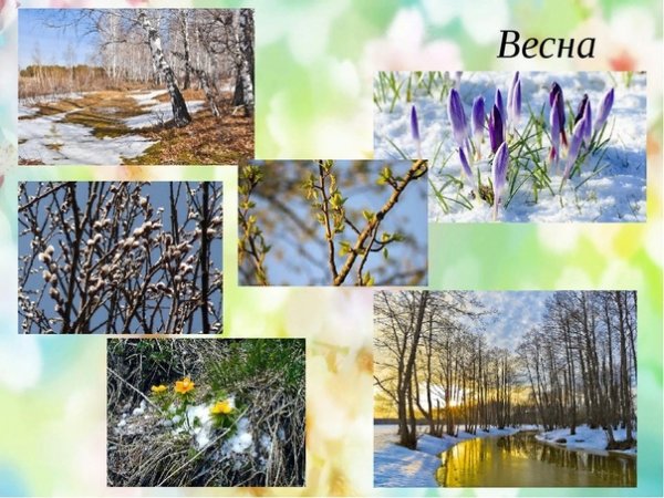 Весна идёт весне дорогу