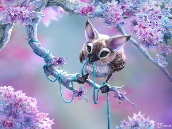 Феи красивые