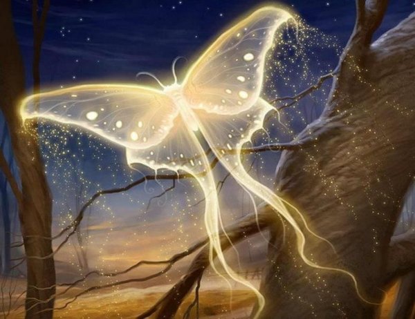 Сказочный лес