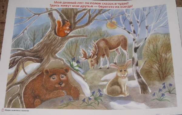Животные весны для дошкольников